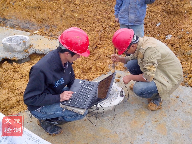 1502353382568105.jpg 低應(yīng)變管樁檢測A.jpg